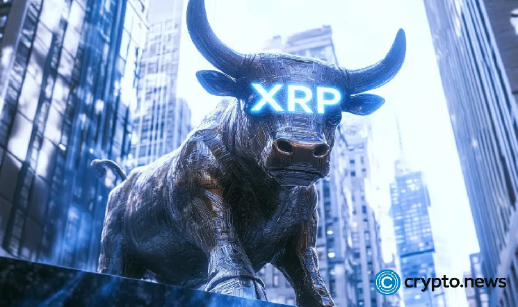 من-يملك-أكثر-xrp؟