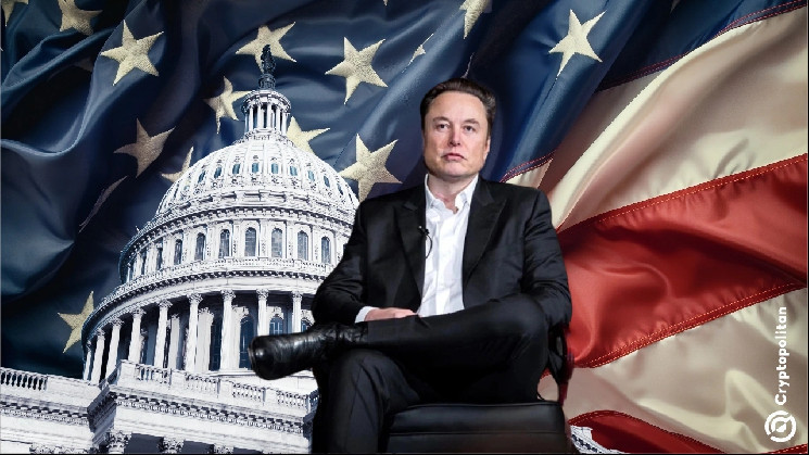 يقوم-elon-musk-بإحضار-blockchain-إلى-قسم-doge-الخاص-به