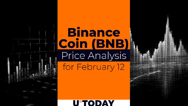 تنبؤ-أسعار-binance-coin-(bnb)-في-12-فبراير