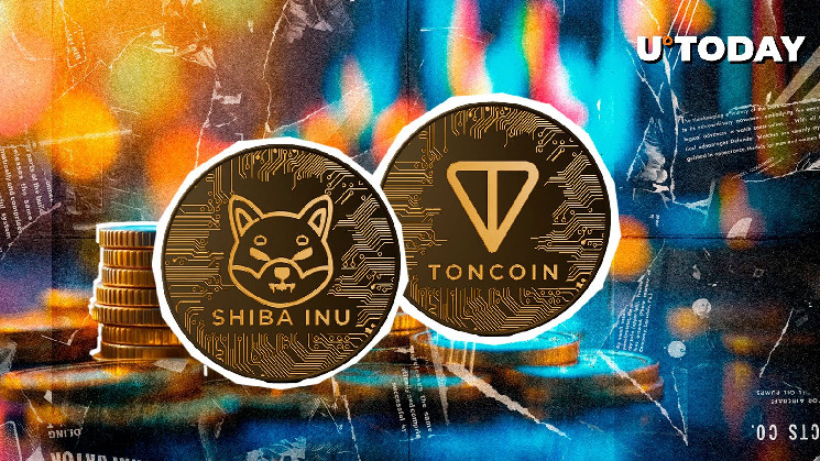 shiba-inu-تقلب-toncoin-حيث-يظهر-سعر-shib-أول-علامة-على-الارتداد