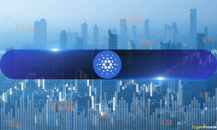 تقفز-رسوم-معاملات-cardano-بنسبة-254-٪-qoq-حيث-يرتفع-سعر-ada-ونشاطه