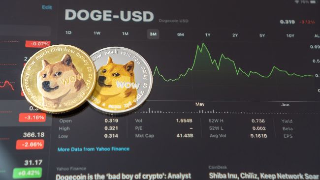 مشاريع-محلل-crypto-dogecoin-سعر-إلى-5.80-دولار-–-هل-يمكن-أن-تصل-هذه-العملة-المعدنية-الجديدة-إلى-10x-على-المدى-القصير؟