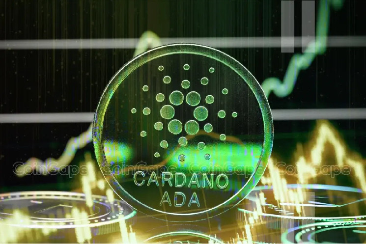 يحدد-المحلل-الدعم-الرئيسي-لزخم-cardano-price-bullish