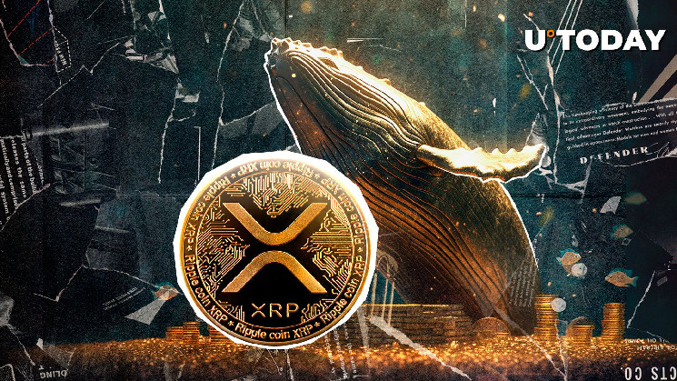 51،849،820-xrp-تم-سحبها-من-صرف-التشفير-الرئيسي