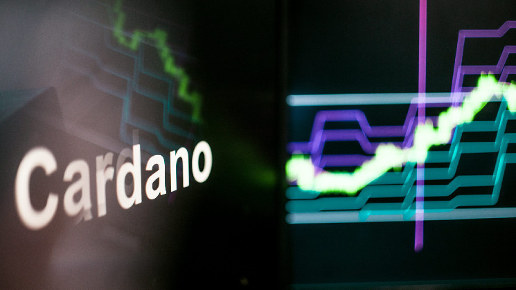 يكسر-سعر-cardano-الدعم-الرئيسي-حيث-تزيد-الحيتان-من-مقتنيات