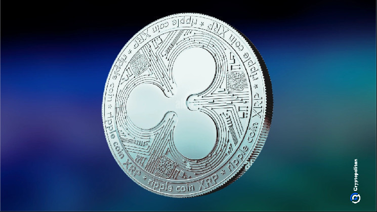 يقول-ripple-إن-xrp-ارتفع-بنسبة-280-٪-فقط-في-q4-2024-في-أحدث-تقرير-الأسواق