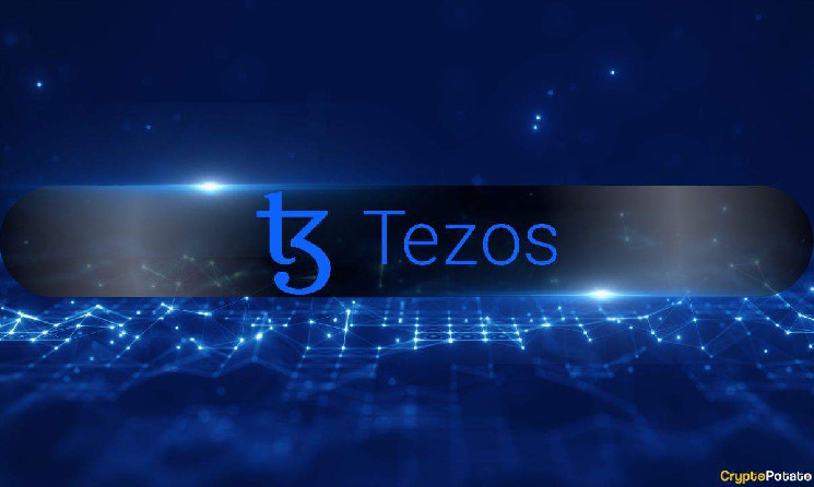 يرى-tezos-ارتفاع-الإيرادات-ولكن-انخفاض-النشاط-مع-تحول-المستخدمين-إلى-الطبقة-2