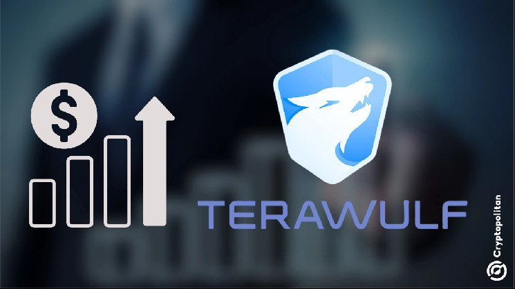 ترتفع-إيرادات-terawulf-بنسبة-102-٪-حيث-أن-bitcoin-holdings-تقريبًا-رباعي