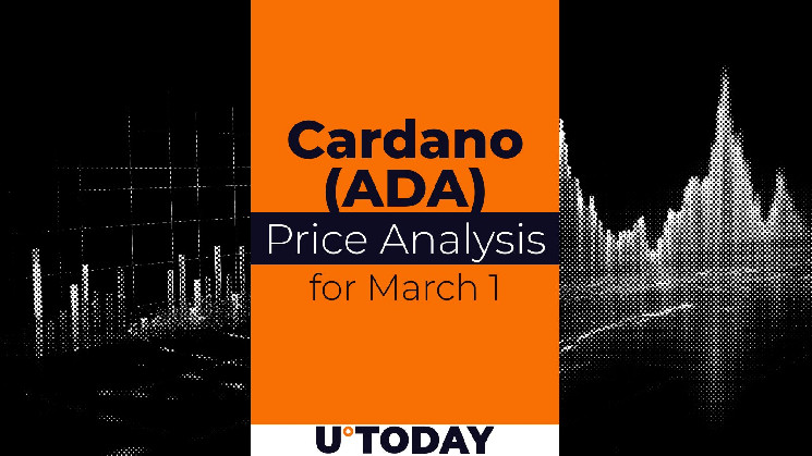 تنبؤ-أسعار-cardano-(ada)-في-1-مارس