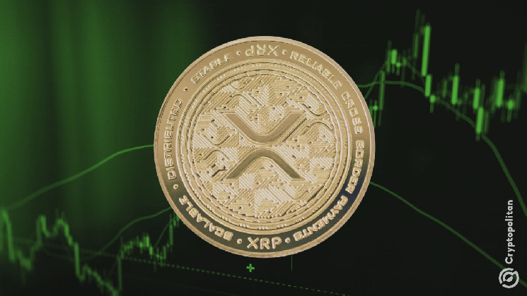 يرى-xrp-ارتفاع-620-٪-عناوين-بعد-دفعة-ترامب