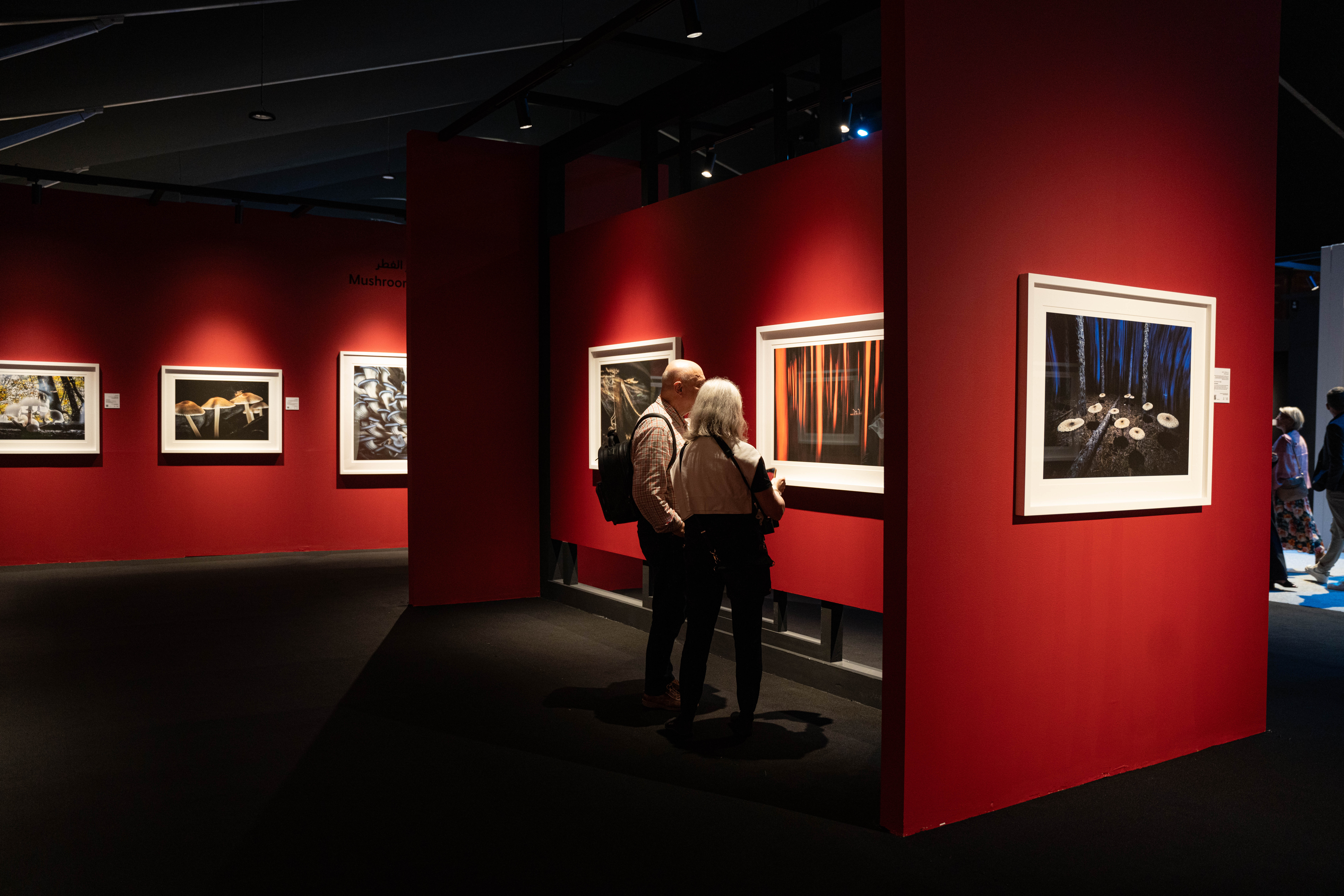 29-ألف-عمل-فوتوغرافي-و634-فيلماً-في-“إكسبوجر-2026”