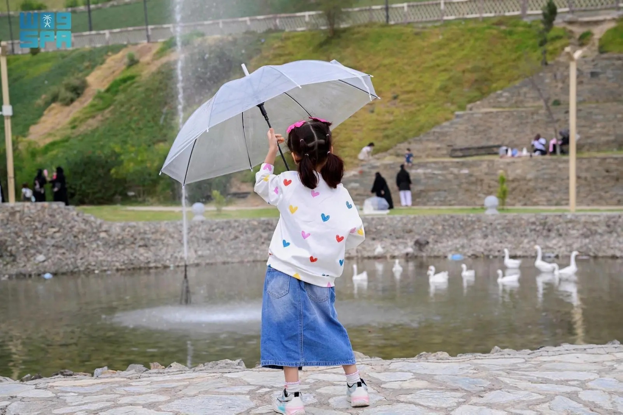 طقس-مستقر-على-مناطق-المملكة