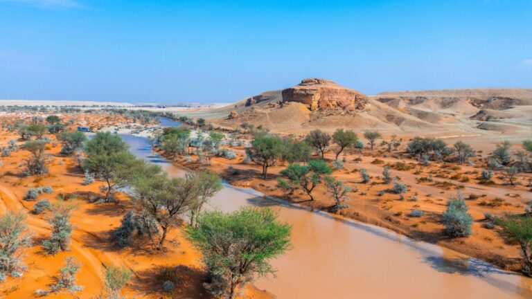 إيقاف-الأنشطة-والزيارات-في-“روضة-الخفس”