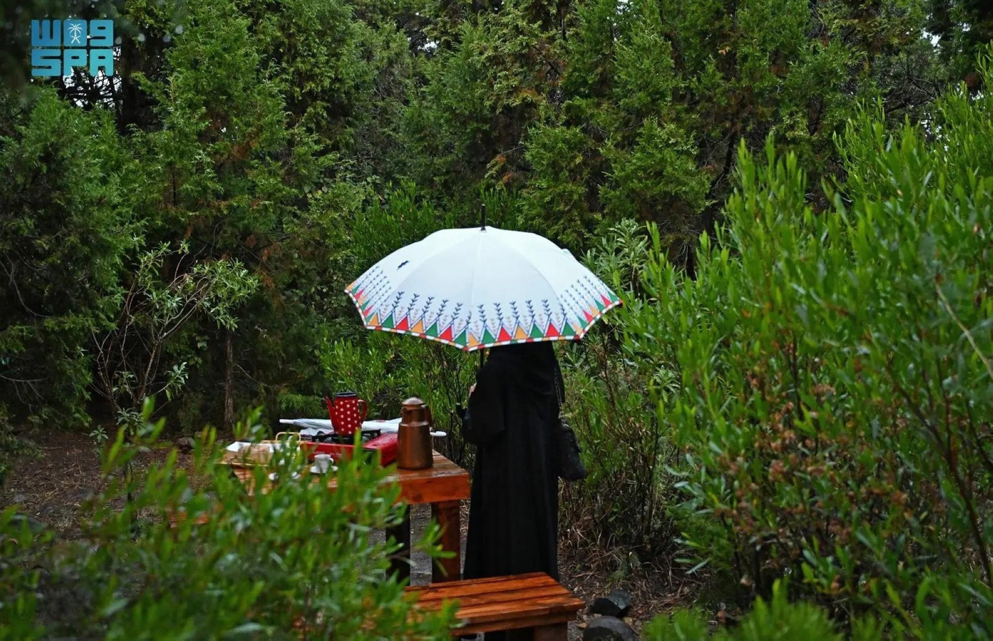 ضباب-بالشرقية-وأمطار-على-جازان-وعسير-والباحة