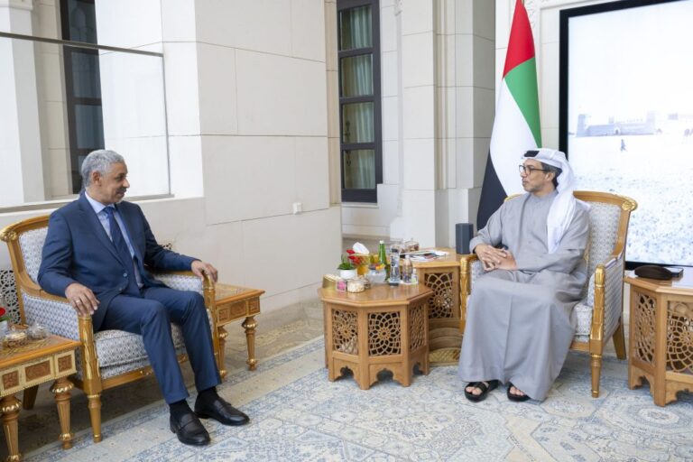 منصور-بن-زايد-يؤكد-حرص-الإمارات-على-دعم-الجهود-التنموية-في-إفريقيا