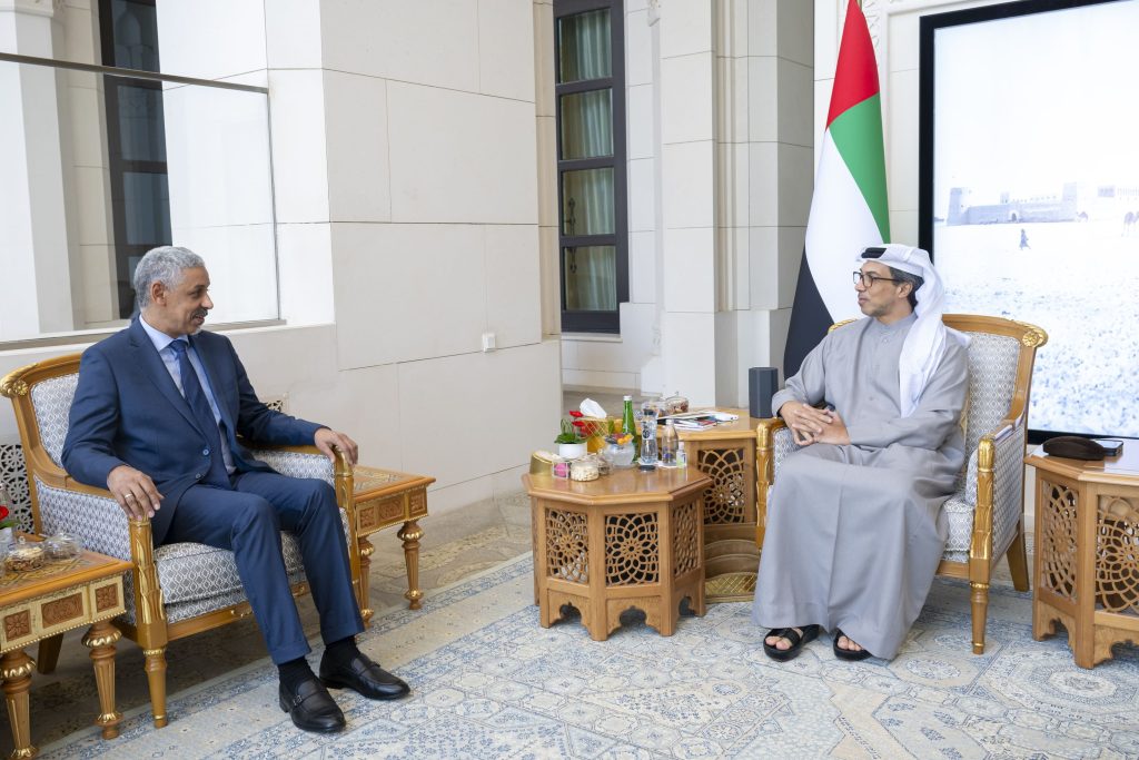 منصور-بن-زايد-يؤكد-حرص-الإمارات-على-دعم-الجهود-التنموية-في-إفريقيا