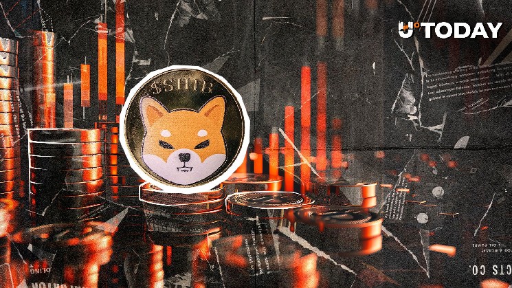 حققت-shiba-inu-مكاسب-صفرية-مع-كسر-سعر-shib-للجمود-التاريخي