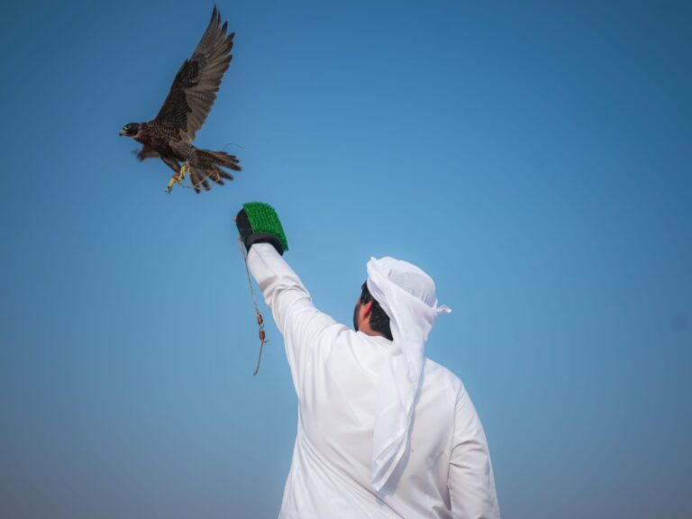 مهرجان-السلع-البحري-يشهد-فعاليات-تراثية-ورياضية-متنوعة