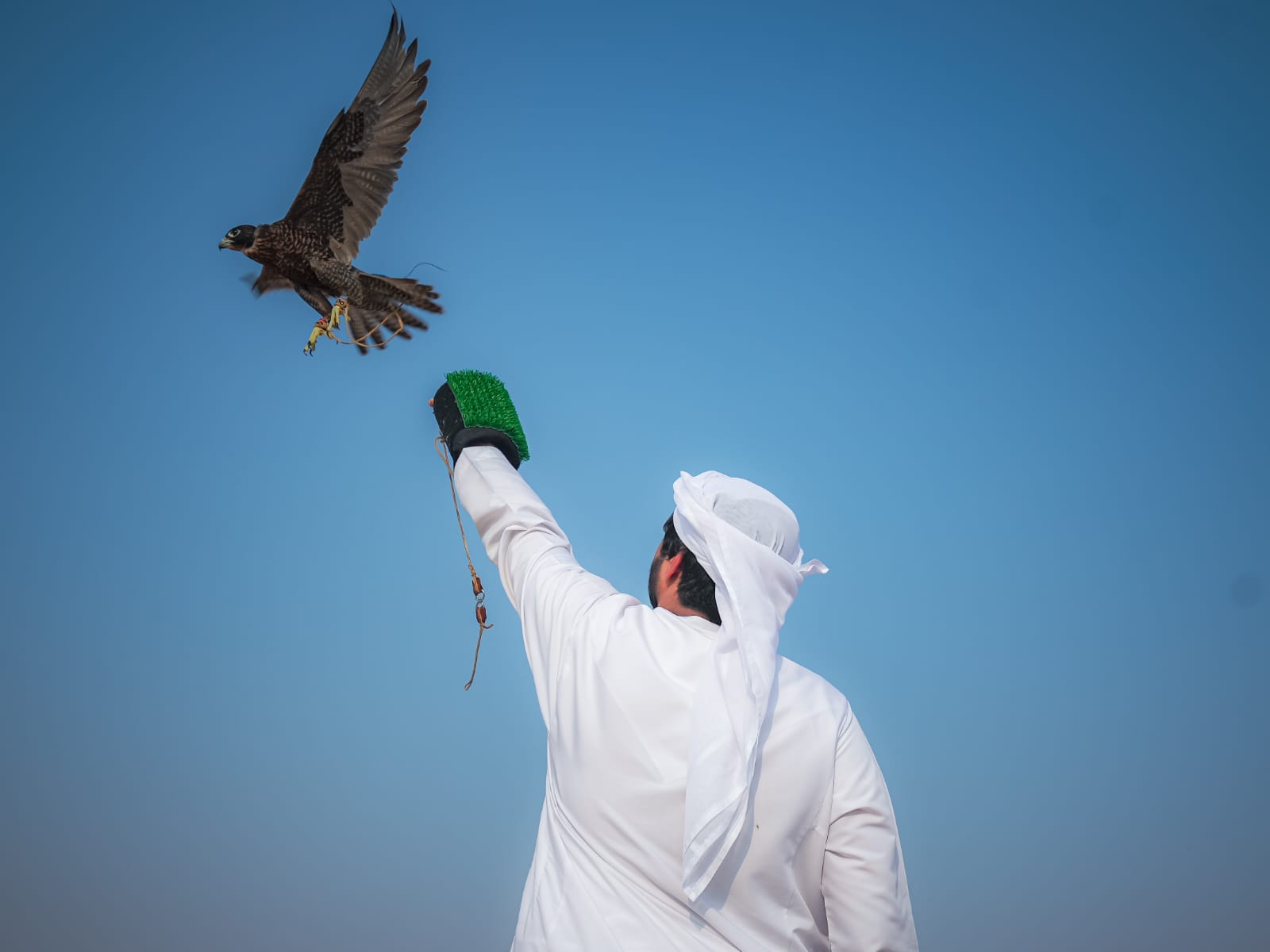 مهرجان-السلع-البحري-يشهد-فعاليات-تراثية-ورياضية-متنوعة