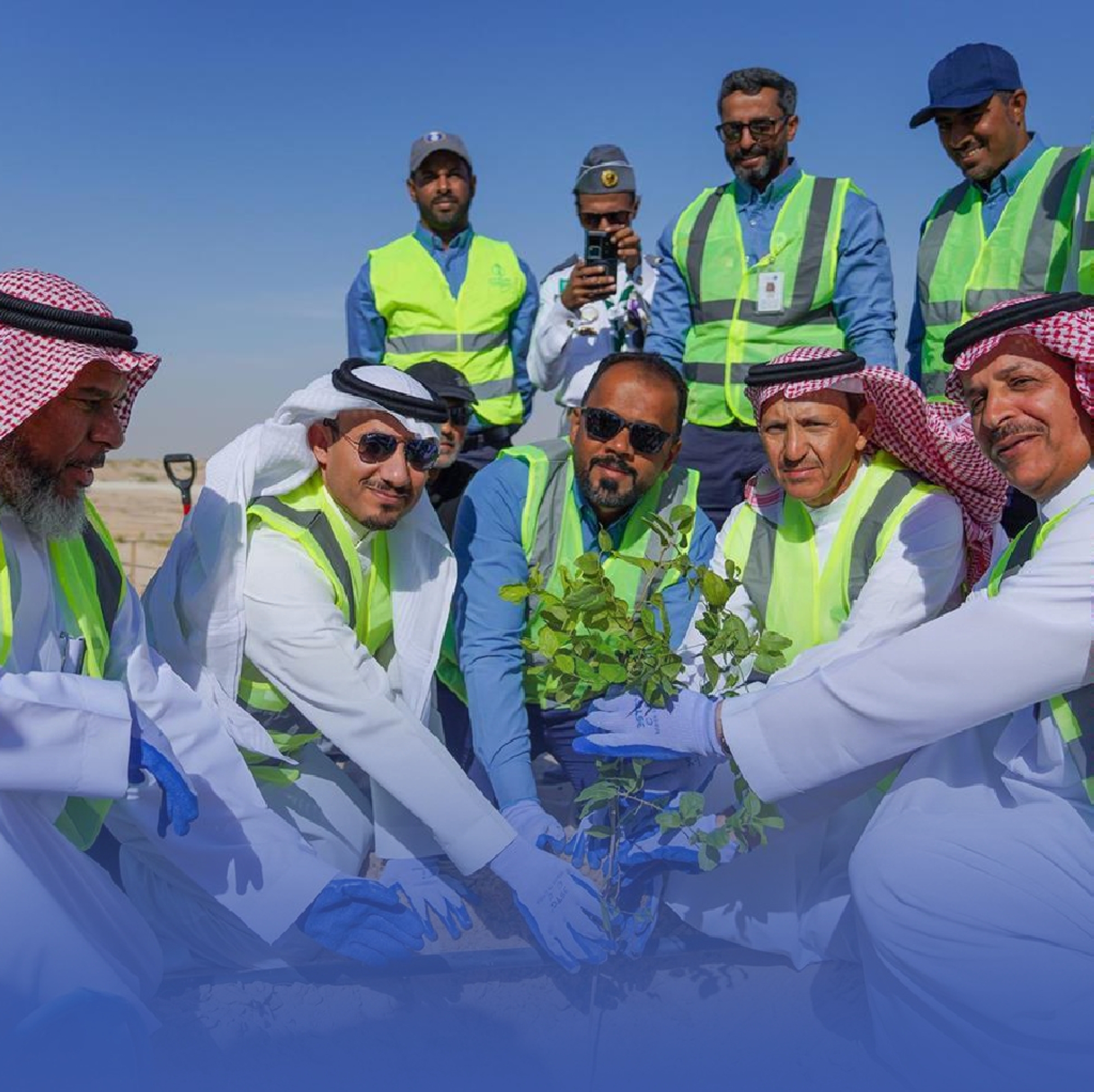 “الري”-تستهدف-زراعة-2-مليون-شجرة-بحلول-2030