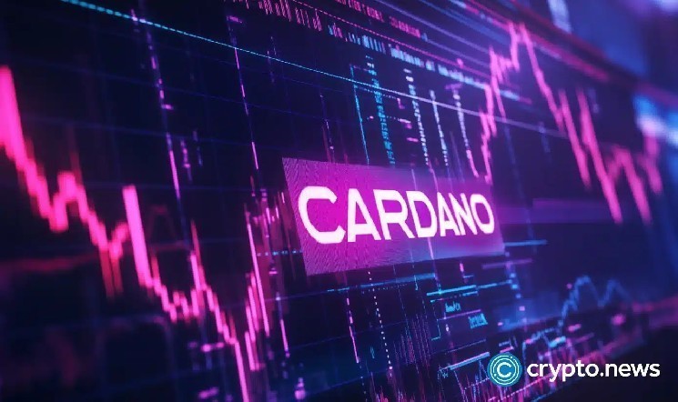يواجه-سعر-cardano-خطر-الانهيار-بنسبة-30٪-حيث-يقوم-الرئيس-التنفيذي-للعملات-المشفرة-بتنبؤات-قاتمة