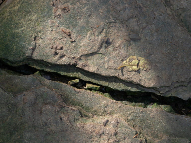 علماء-يكتشفون-أدلة-على-عملية-انقسام-جيولوجي-بطيئة-لقارة-إفريقيا