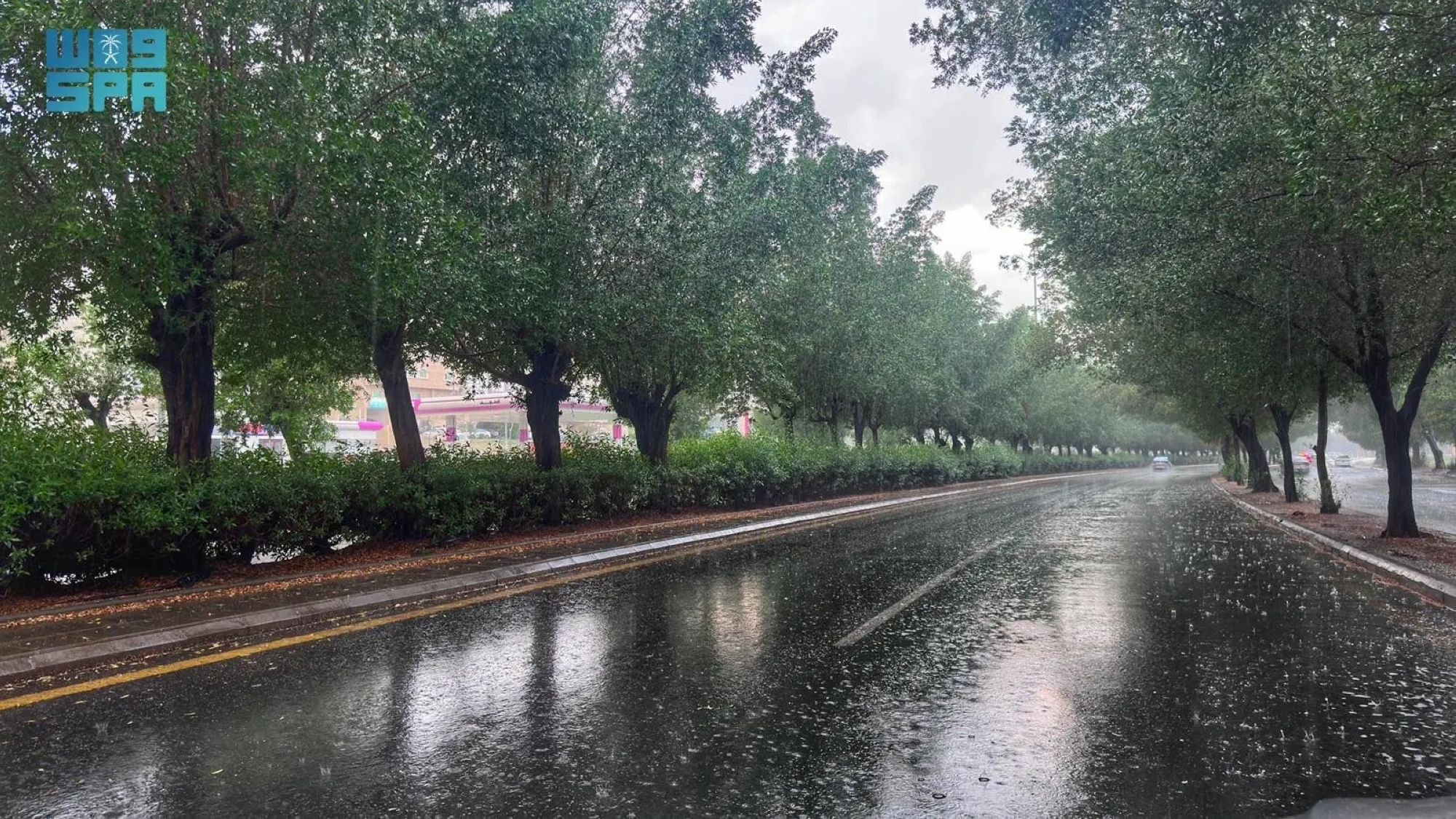 سماء-غائمة-وسحب-ممطرة-على-منطقتين