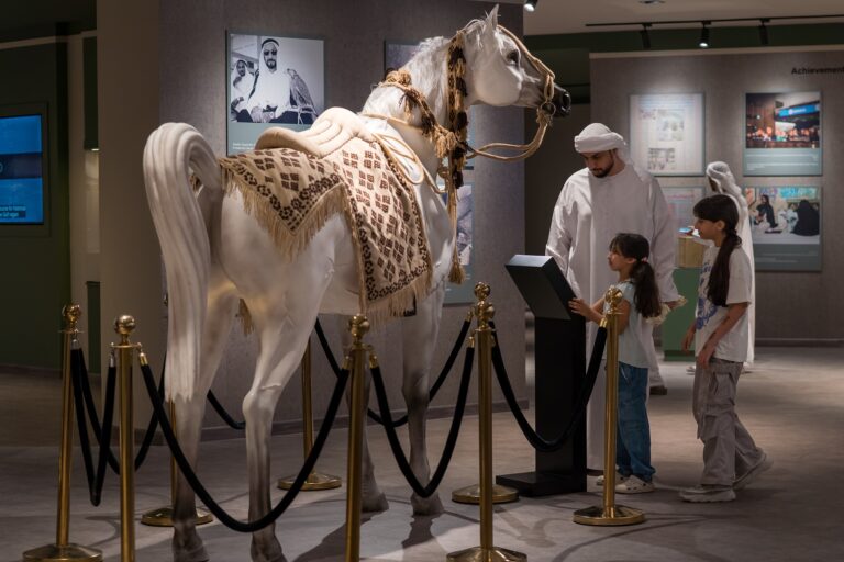 ركن-للخيول-في-منصة-“ذاكرة-الوطن”-بمهرجان-الشيخ-زايد
