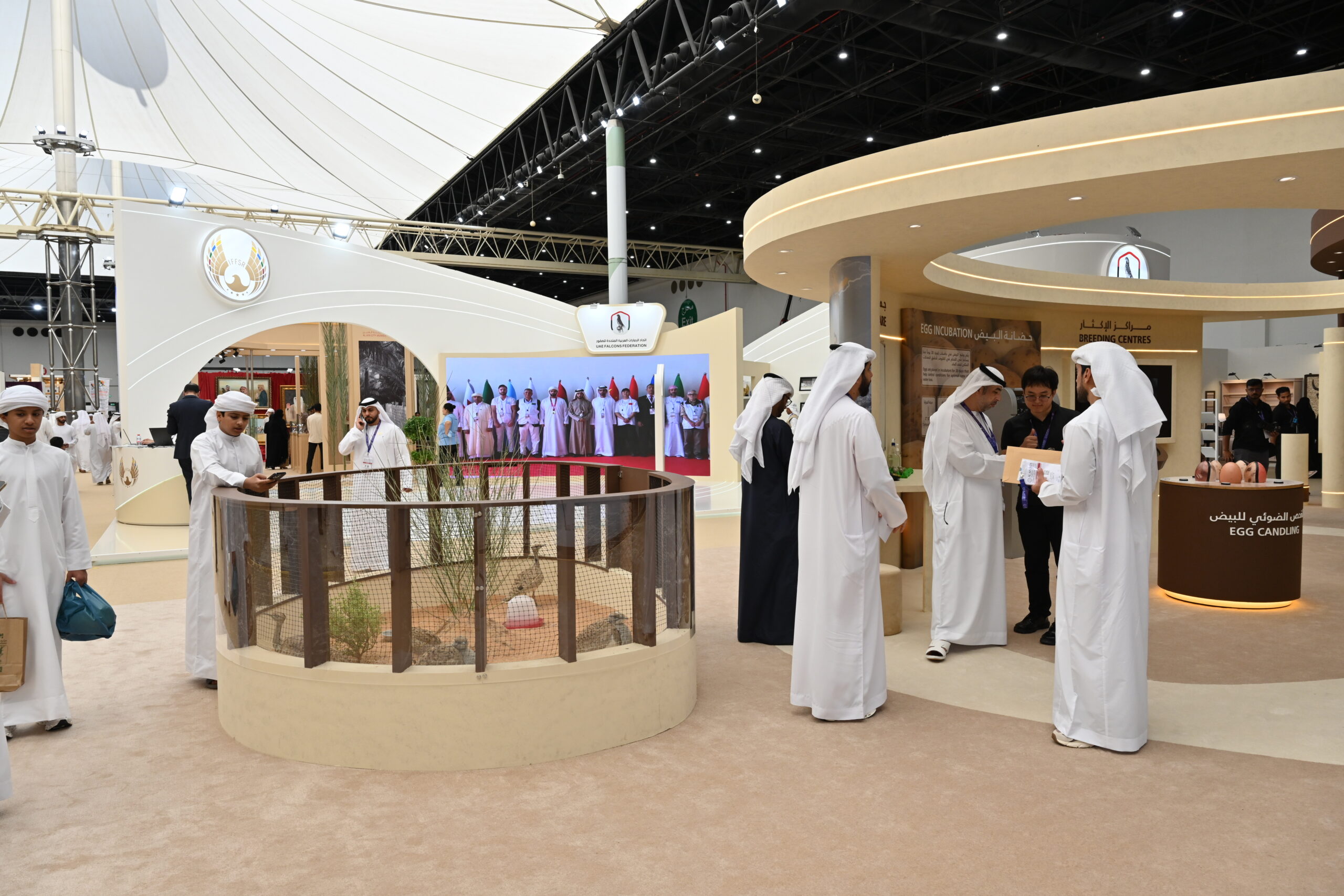 “العين-للصيد-والفروسية”.-احتفال-بالإرث-الثقافي-والتراث-الإماراتي