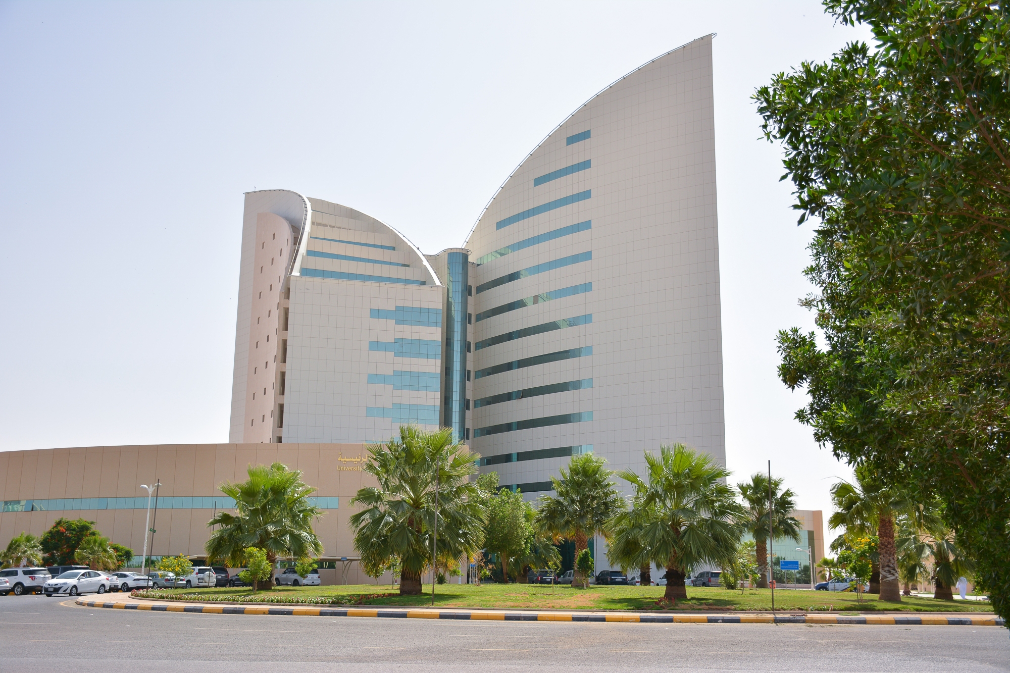 جامعة-نجران-الـ-57-في-تصنيف-التايمز-العربي