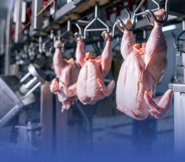 “الغذاء-والدواء”-تحظر-استيراد-الدواجن-والبيض-من-3-مقاطعات-فرنسية