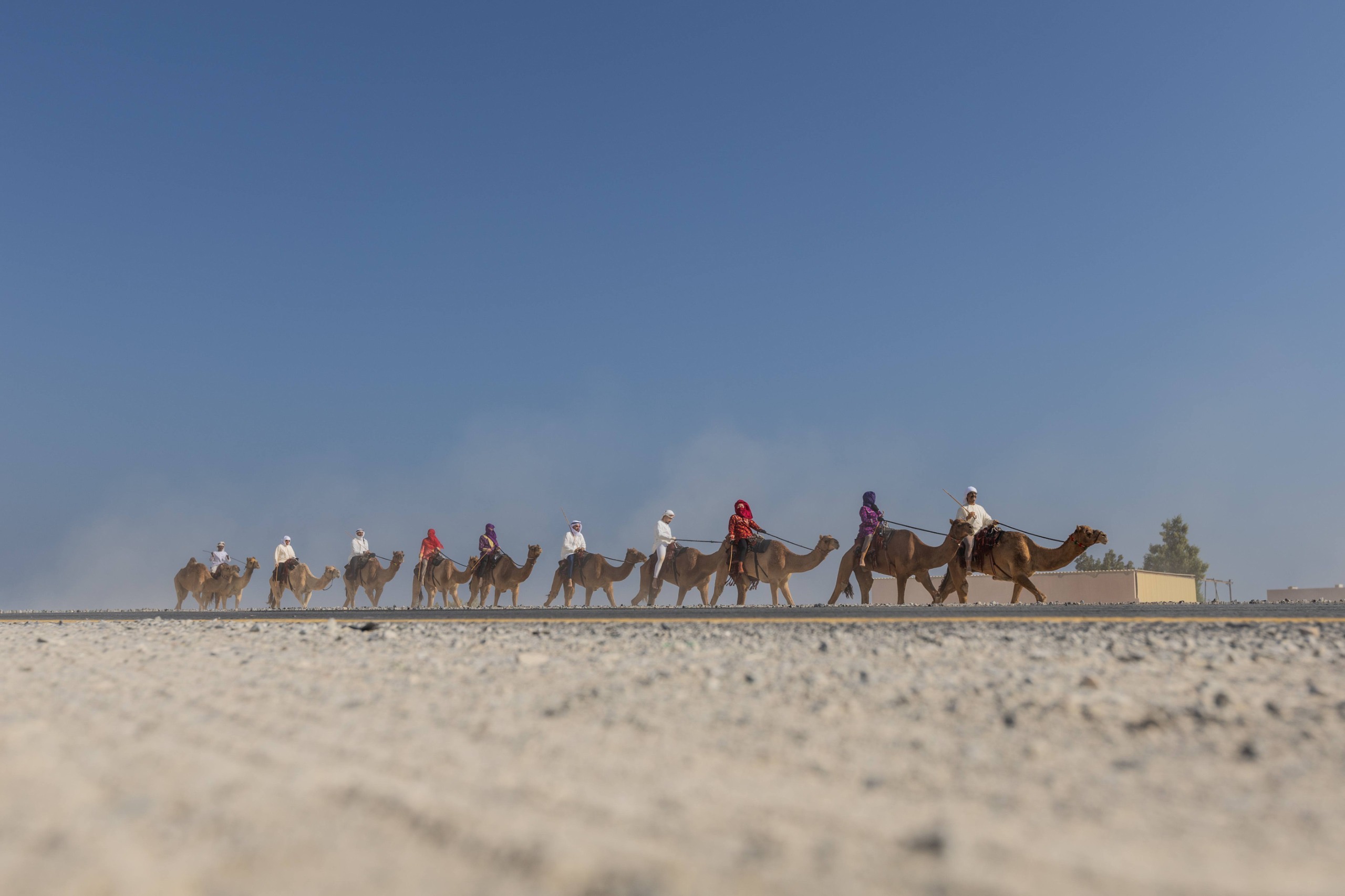 انطلاق-النسخة-الأطول-في-تاريخ-“رحلة-الهجن”-من-أبوظبي-إلى-دبي-بمشاركة-29-متسابقا-من-18-جنسية