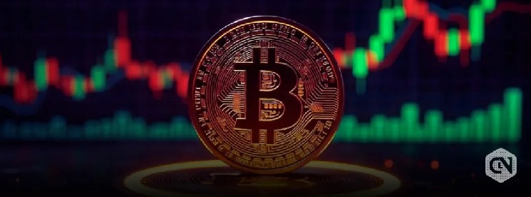 عملة-البيتكوين-تتجاوز-92000-دولار-مع-ارتفاع-بنسبة-8٪-على-تأثير-الطليعة