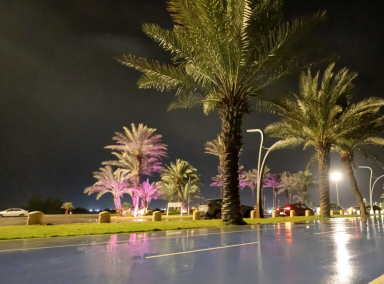 “الأرصاد”:-الحالة-المطرية-مصحوبة-بسيول-وبرد