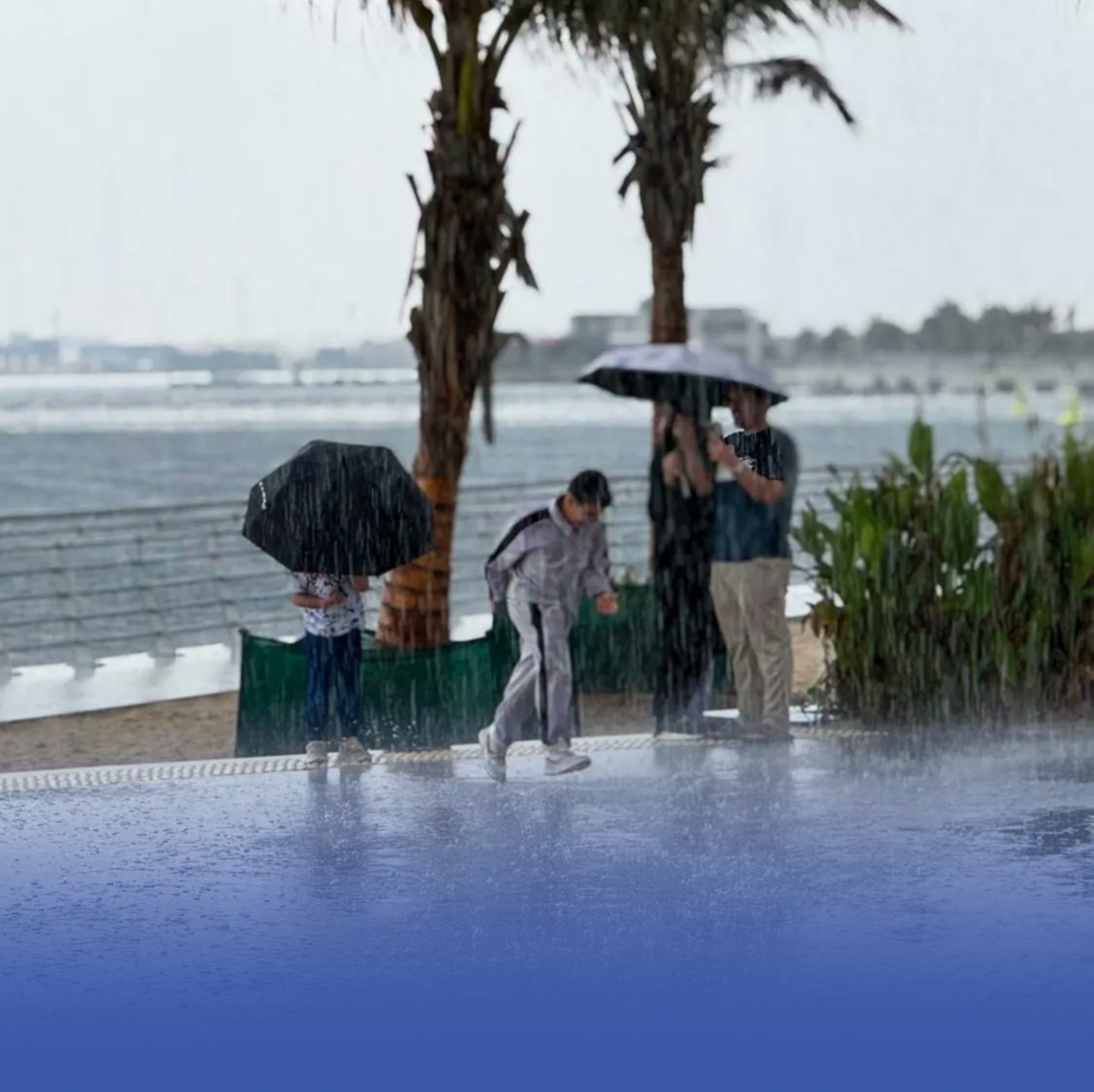 أمطار-غزيرة-على-معظم-المناطق-حتى-نهاية-الأسبوع