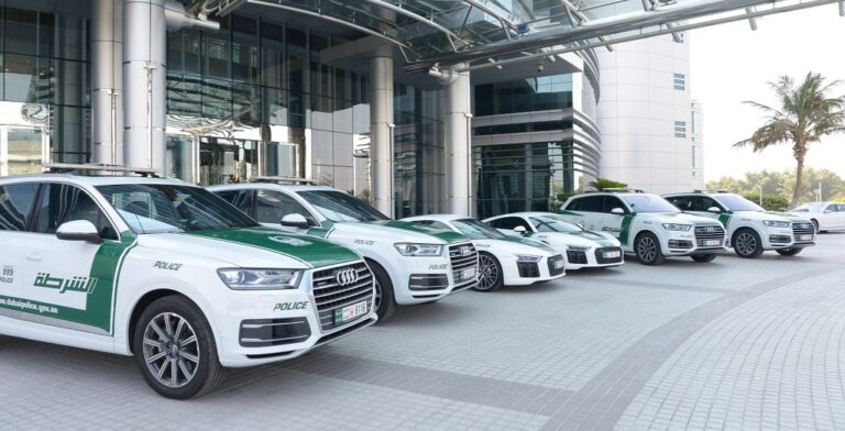 الأمن-يصنع-النمو:-دراسة-لـ-ey-تكشف-أثر-شرطة-دبي-على-الاقتصاد