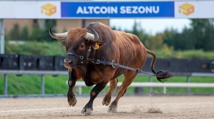 هل-سيأتي-موسم-altcoin؟-إذا-كان-الأمر-كذلك،-كيف-سيبدو؟-الاستراتيجي-راؤول-بال-يزن