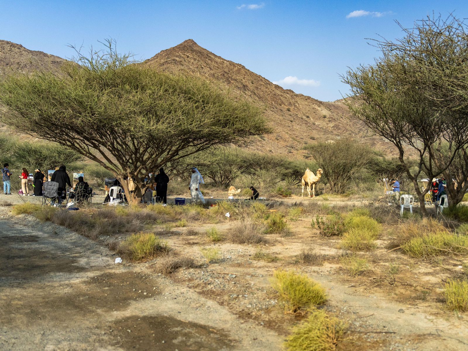 برعاية-محمد-الشرقي.-الفجيرة-تستضيف-إقامة-فنيّة-لتدريب-20-فناناً-إماراتياً