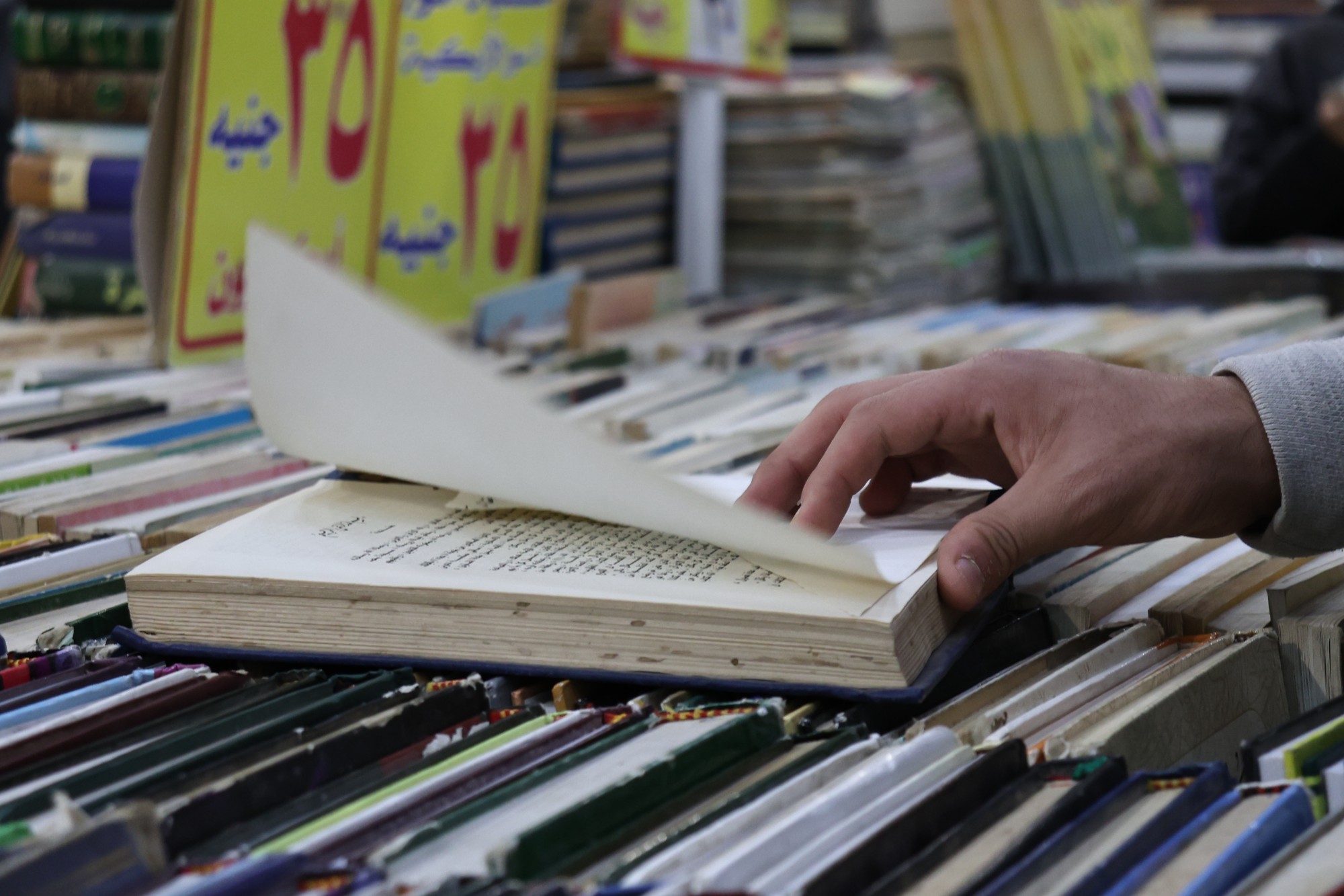 إعلان-الفائزين-بجوائز-الدورة-الـ57-لمعرض-القاهرة-الدولي-للكتاب