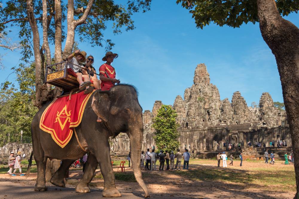 كمبوديا.-عالم-الفيلة-في-«مملكة-العجائب»