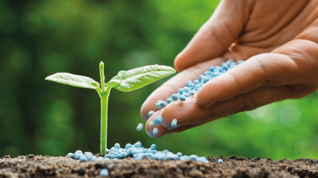 باحثو-جامعة-خليفة-يتوصلون-لطريقة-لتحويل-التربة-الرملية-إلى-أرض-خصبة