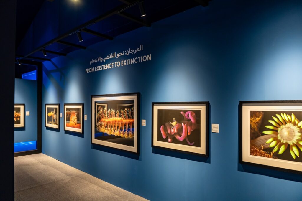 “اكسبوجر-2026″يقدم-شهادات-بصرية-حول-حماية-المحيطات