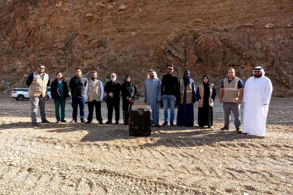 “حُوَّام-العسل-الشرقي”-ينطلق-من-محمية-الوريعة-بالفجيرة-بعد-تعافيه