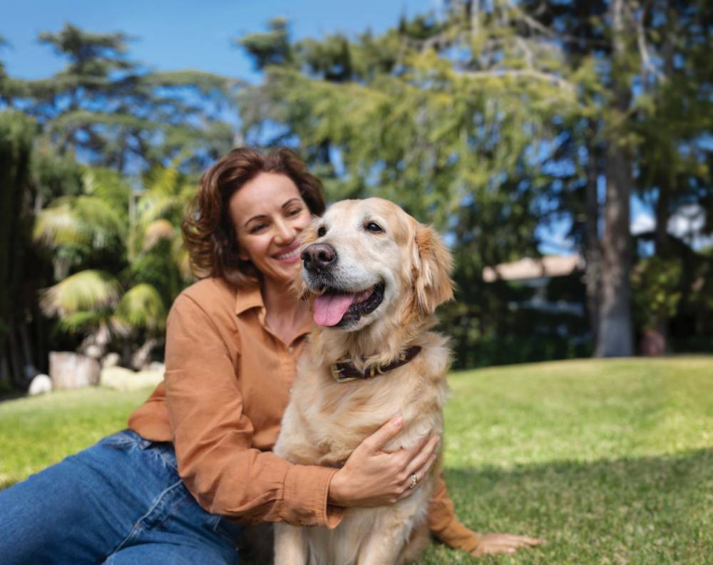 ضوابط-لاصطحاب-حيوانات-الرفقة-في-فنادق-أبوظبي