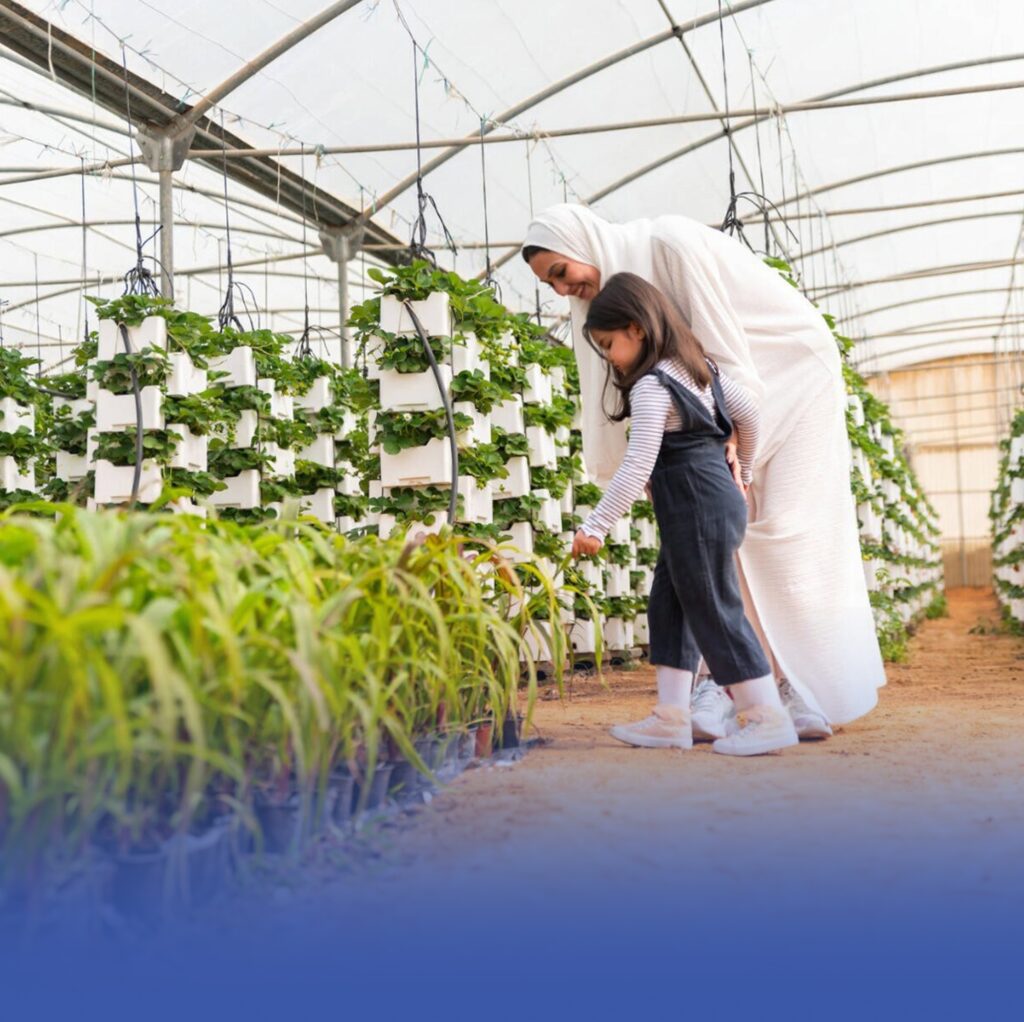 إنشاء-مدرسة-حقلية-للنباتات-العطرية-بالمدينة-المنورة