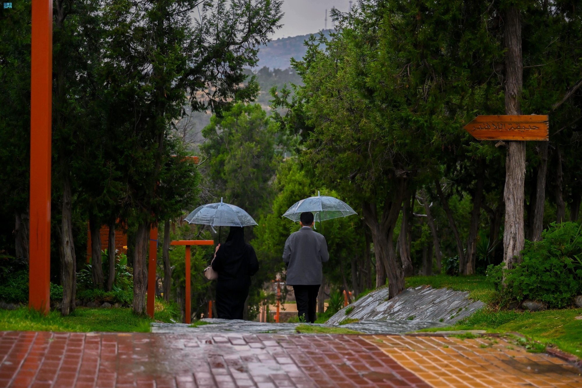 توقعات-بأمطار-خفيفة-على-معظم-المناطق