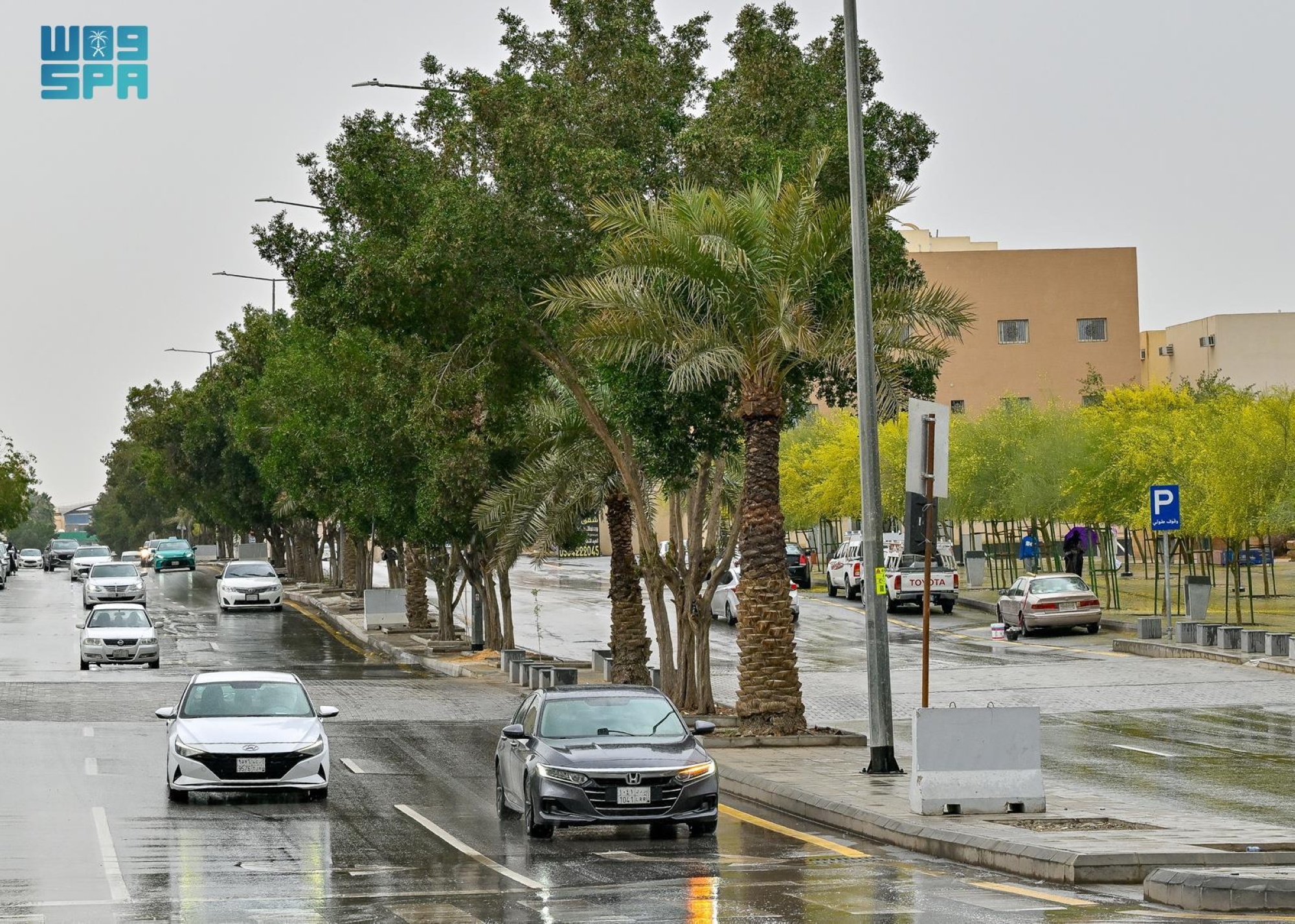 أمطار-تنعش-أجواء-الرياض-وتزيد-الأجواء-بهاءً