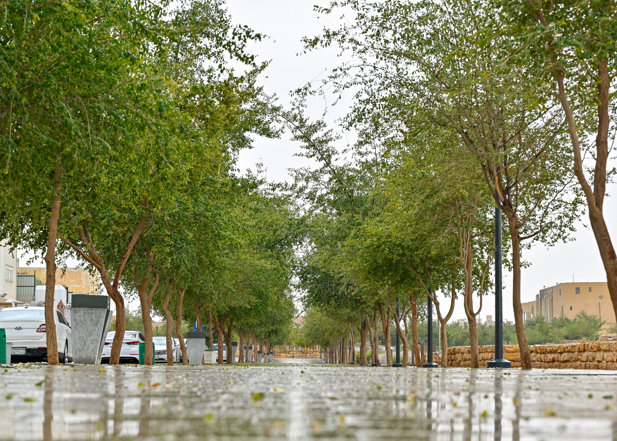 “الأرصاد”:-أمطار-خفيفة-وضباب-على-5-مناطق