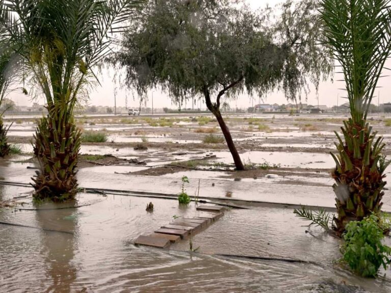 أمطار-قياسية-بالدولة-و47.9-ملم-أعلى-كمية-في-الطويين-بالفجيرة