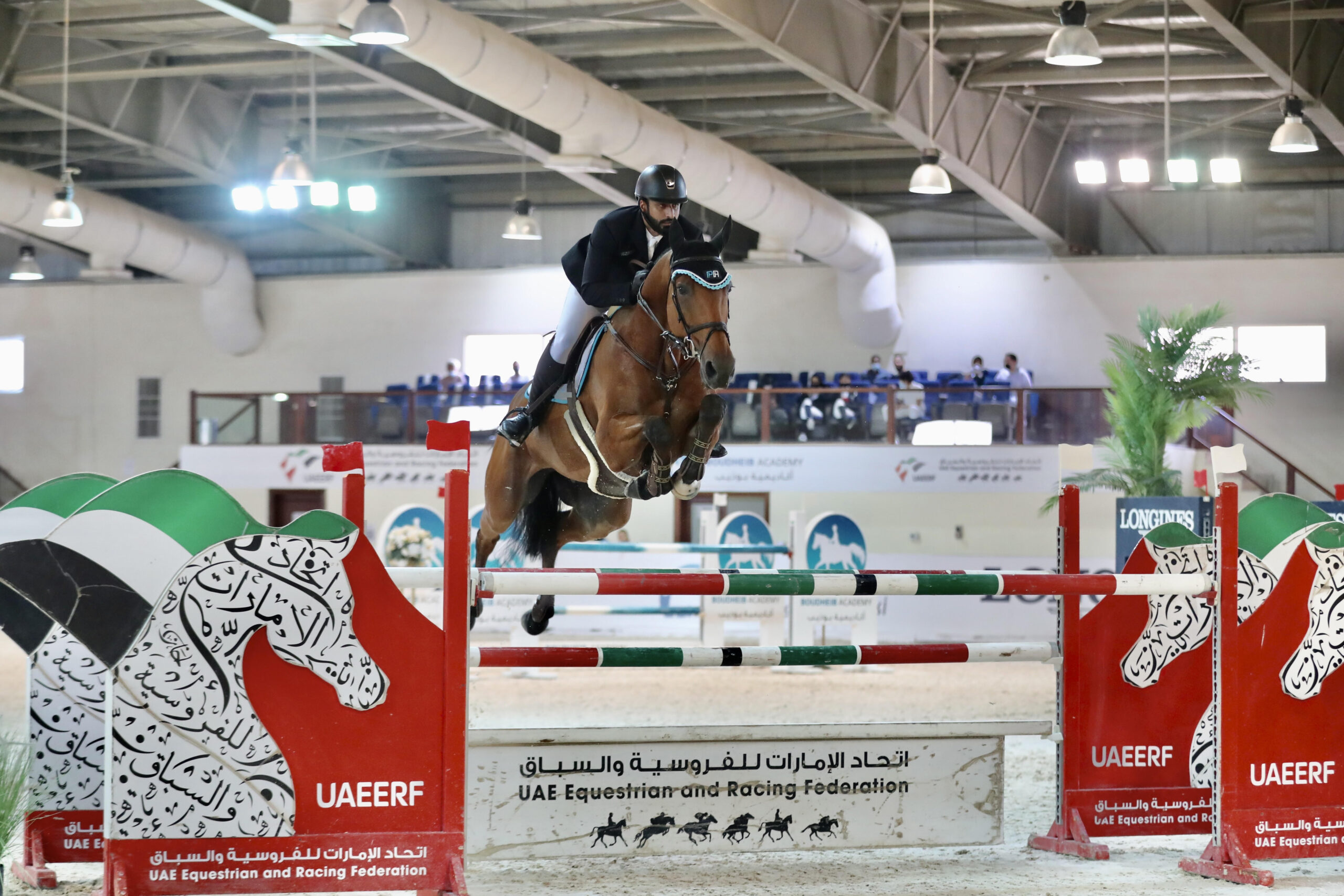 370-خيلاً-تشارك-في-14-منافسة-بدوري-الإمارات-لقفز-الحواجز